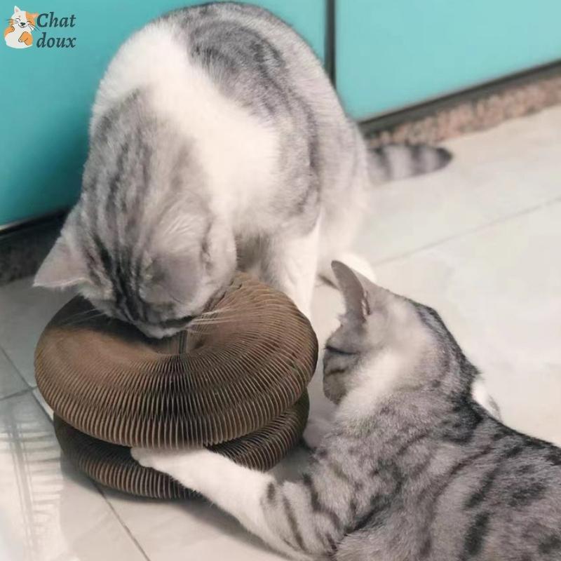 Griffoir innovant pliable et recyclable et jouet interactif pour chat | CartyGrat™