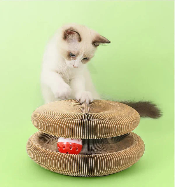 Griffoir innovant pliable et recyclable et jouet interactif pour chat | CartyGrat™