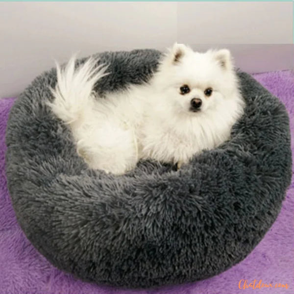 Coussin pour chat - Noir