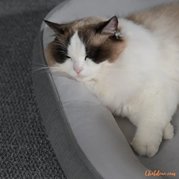 Panier chat | Pavo™